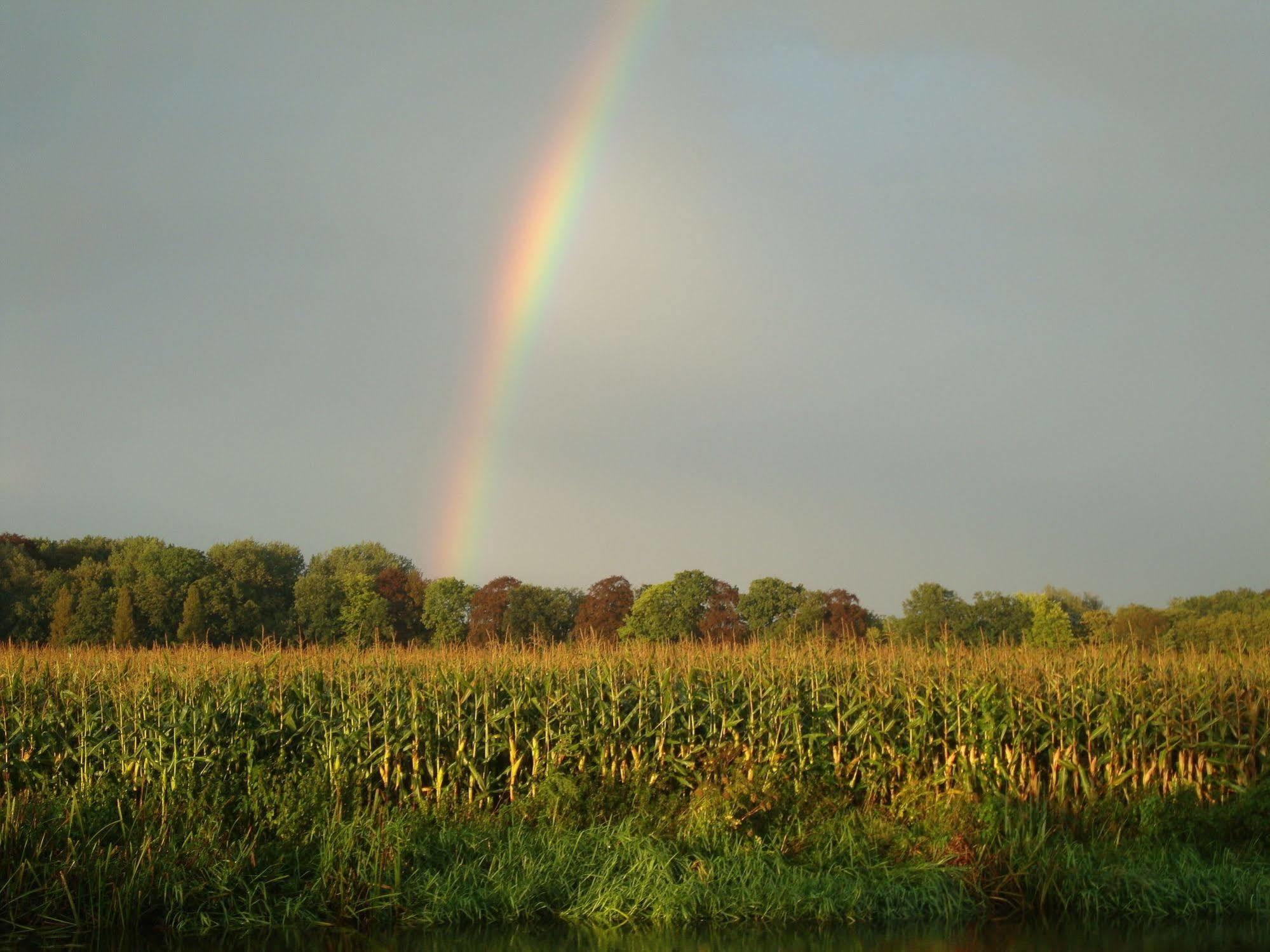 Het Wapen Van Harmelen ภายนอก รูปภาพ