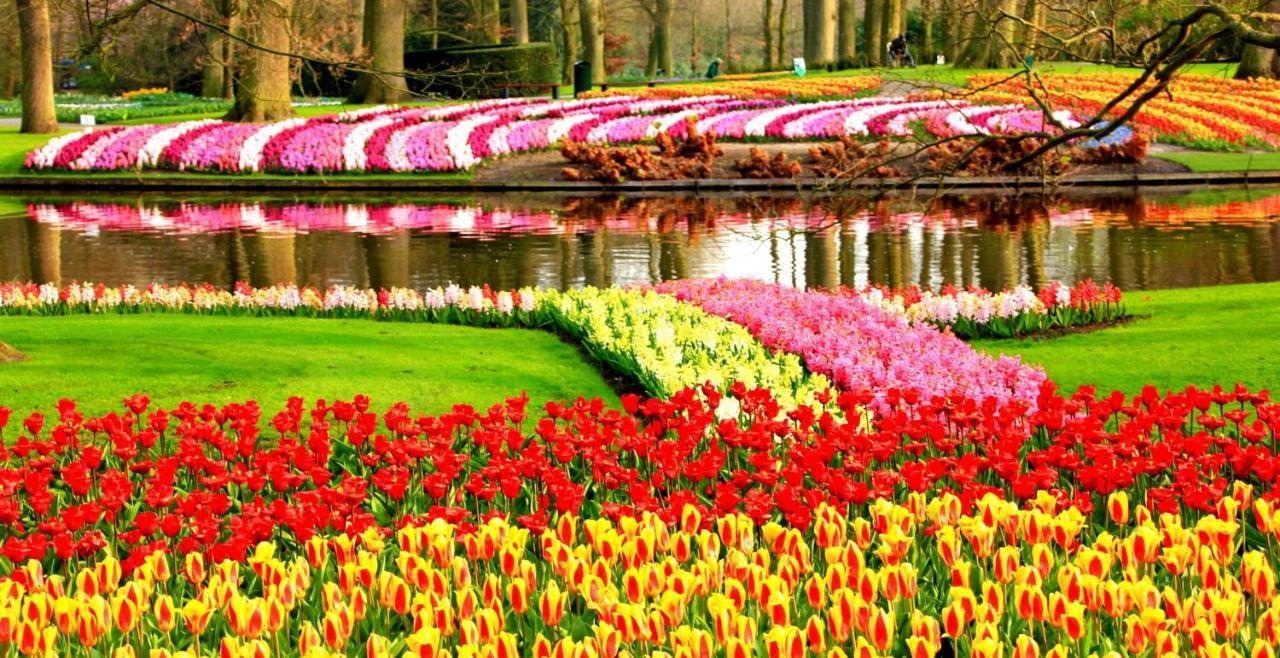 Het Wapen Van Harmelen ภายนอก รูปภาพ